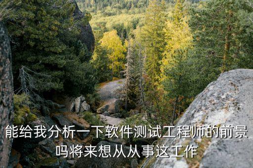 能給我分析一下軟件測試工程師的前景嗎將來想從從事這工作