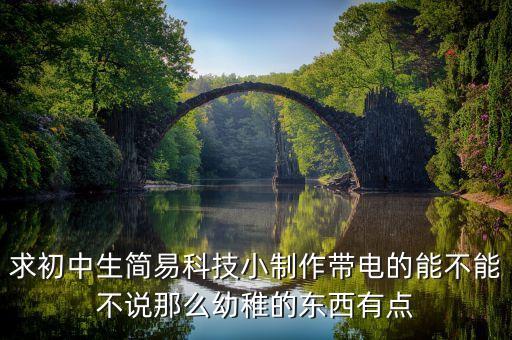 求初中生簡(jiǎn)易科技小制作帶電的能不能不說(shuō)那么幼稚的東西有點(diǎn)