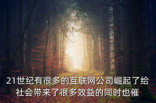 21世紀(jì)有很多的互聯(lián)網(wǎng)公司崛起了給社會(huì)帶來了很多效益的同時(shí)也催
