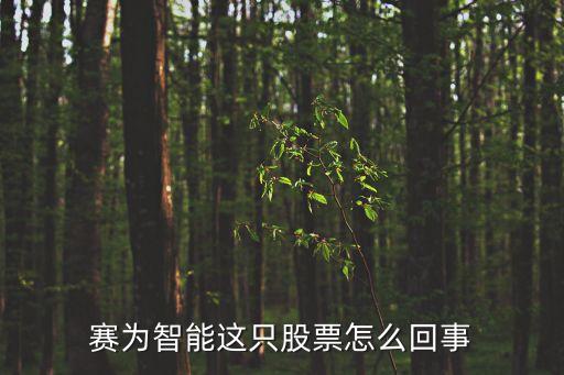 賽為智能是什么概念，賽為智能這只股票怎么回事