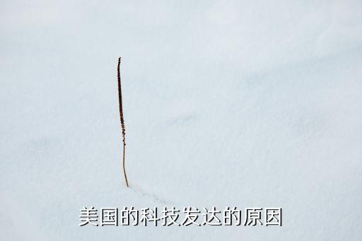 美國的科技發(fā)達(dá)的原因