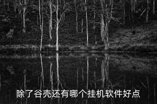 游戲掛機軟件哪個好，除了谷殼還有哪個掛機軟件好點