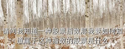 請問我知道一種股票指數(shù)那我要如何知道屬于這種指數(shù)的股票是什么
