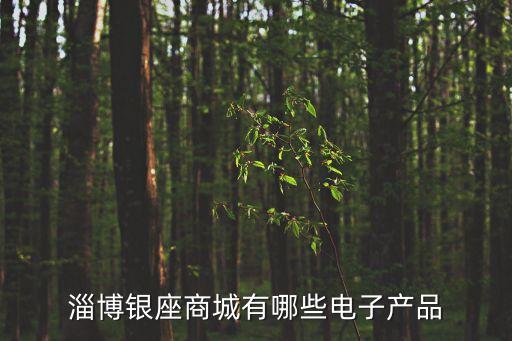淄博銀座商城有哪些電子產(chǎn)品