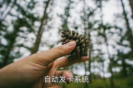 自動(dòng)發(fā)卡系統(tǒng)