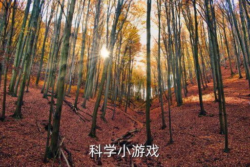 科學小游戲