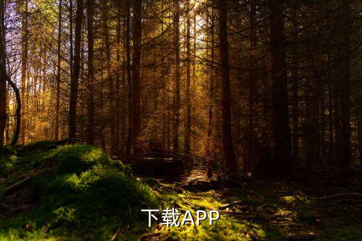 下載APP