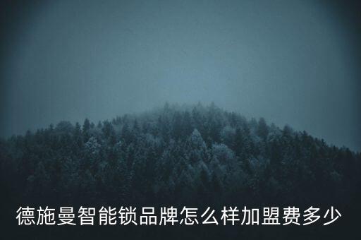 德施曼智能鎖品牌怎么樣加盟費多少