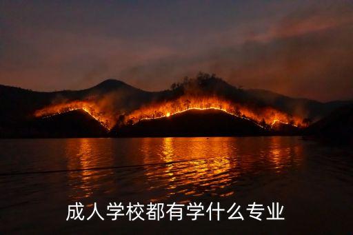 成人學(xué)校都有學(xué)什么專業(yè)