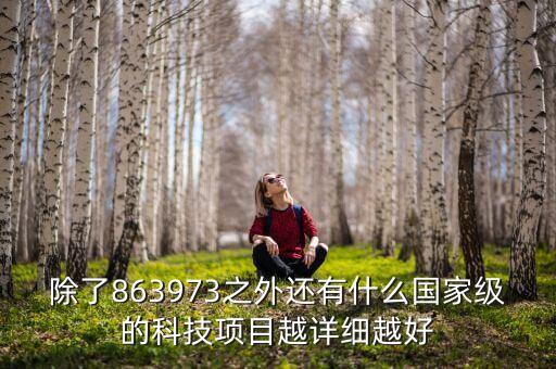 除了863973之外還有什么國(guó)家級(jí)的科技項(xiàng)目越詳細(xì)越好