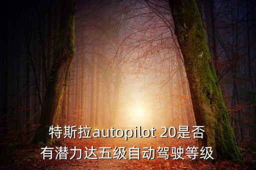 特斯拉autopilot 20是否有潛力達五級自動駕駛等級