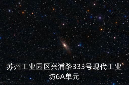 蘇州工業(yè)園區(qū)興浦路333號現(xiàn)代工業(yè)坊6A單元