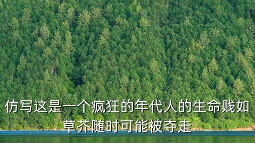 一個(gè)瘋狂的時(shí)代，德意志帝國(guó)七集系列故事片一個(gè)瘋狂的年代 誰那里有全集呀跪求我