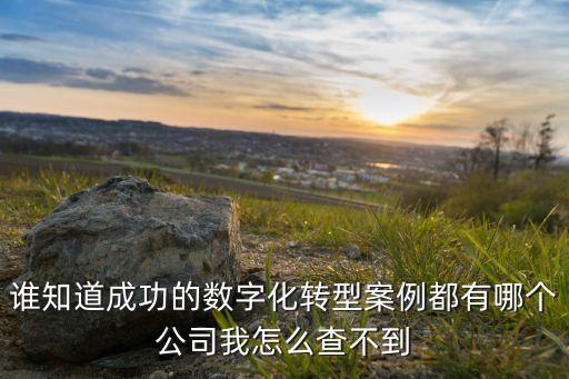 數(shù)字化轉(zhuǎn)型創(chuàng)新實踐案例，紫光云在助力行業(yè)數(shù)字化轉(zhuǎn)型方面有哪些值得借鑒的地方