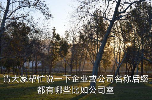 請(qǐng)大家?guī)兔φf(shuō)一下企業(yè)或公司名稱后綴都有哪些比如公司室