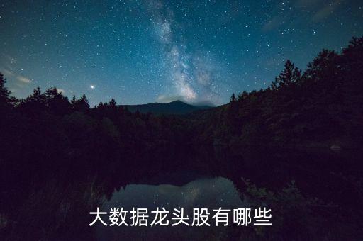 大數據股票有哪些股票龍頭，大數據概念股票龍頭股票有哪些