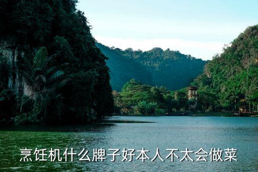 烹飪機什么牌子好本人不太會做菜