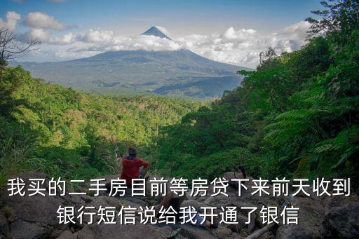 開通銀信通說明貸款成功了嗎，手機貸提交成功您已提交申請等待系統(tǒng)確認 是通過了這樣算是可以貸款