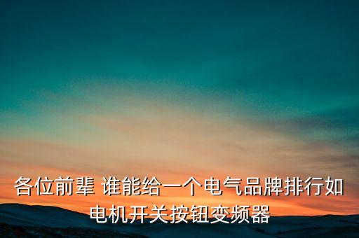 各位前輩 誰能給一個電氣品牌排行如電機開關(guān)按鈕變頻器