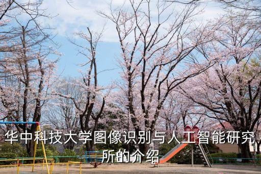 華中科技大學(xué)圖像識別與人工智能研究所的介紹