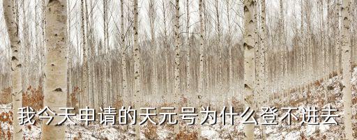 重生之科技狂人醉馬，那聲再見為何說不出口