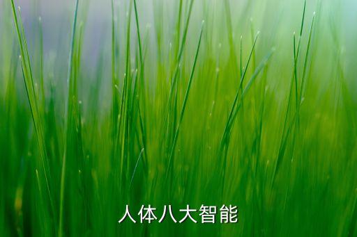 人體八大智能