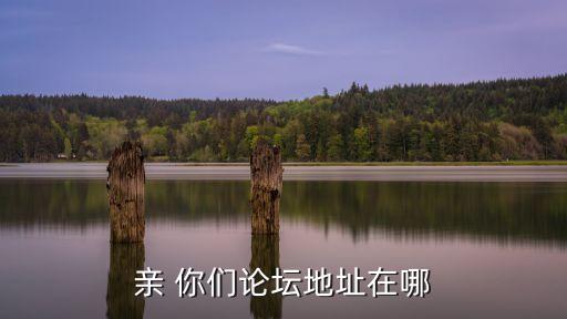 親 你們論壇地址在哪