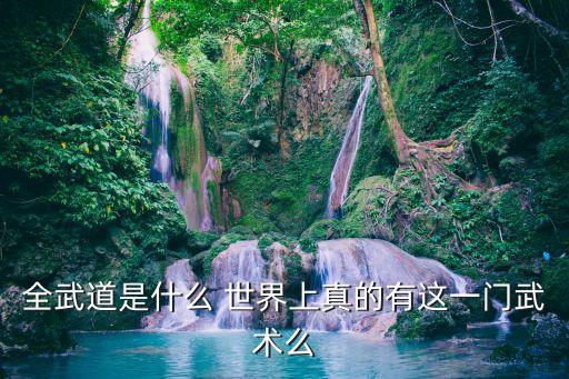 全球武道時代，全武道是什么 世界上真的有這一門武術(shù)么