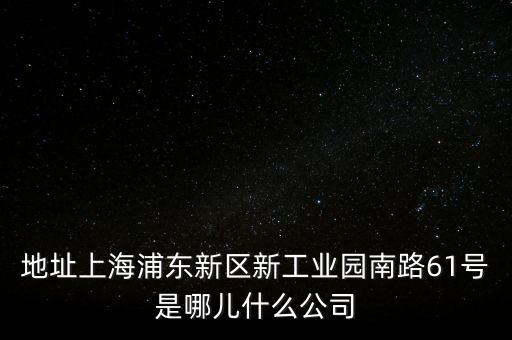 地址上海浦東新區(qū)新工業(yè)園南路61號(hào)是哪兒什么公司