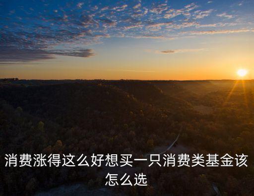 消費(fèi)漲得這么好想買一只消費(fèi)類基金該怎么選
