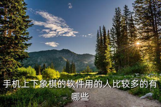 ai人工智能象棋軟件，中國(guó)象棋的人工智能算法實(shí)現(xiàn)用神經(jīng)網(wǎng)絡(luò)來(lái)做可以嗎