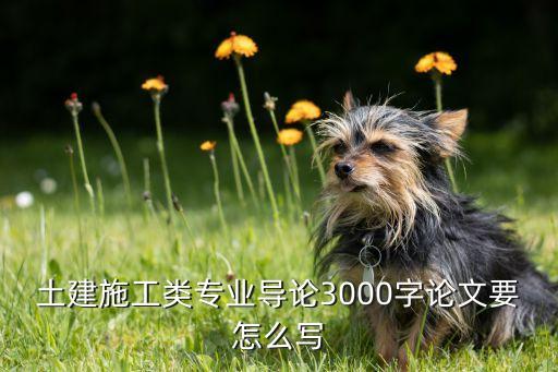 土建施工類專業(yè)導(dǎo)論3000字論文要怎么寫