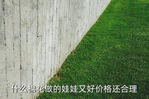 什么棉花做的娃娃又好價格還合理