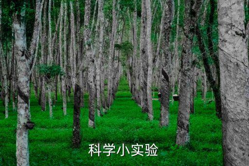 科學(xué)小實(shí)驗(yàn)