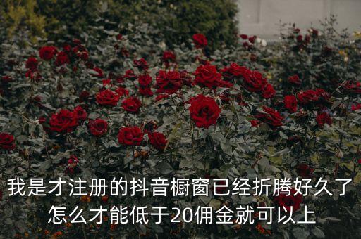 我是才注冊(cè)的抖音櫥窗已經(jīng)折騰好久了 怎么才能低于20傭金就可以上