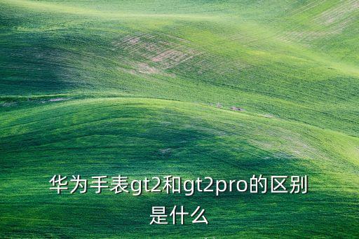 華為手表gt2和gt2pro的區(qū)別是什么