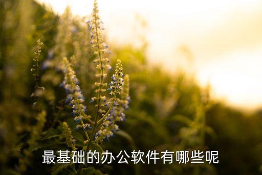 最基礎(chǔ)的辦公軟件有哪些呢