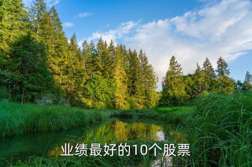 業(yè)績最好的10個(gè)股票