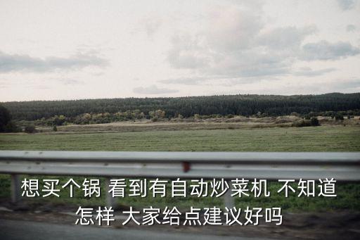 麻辣香鍋自動炒菜機做外賣可以嗎，想買個鍋 看到有自動炒菜機 不知道怎樣 大家給點建議好嗎