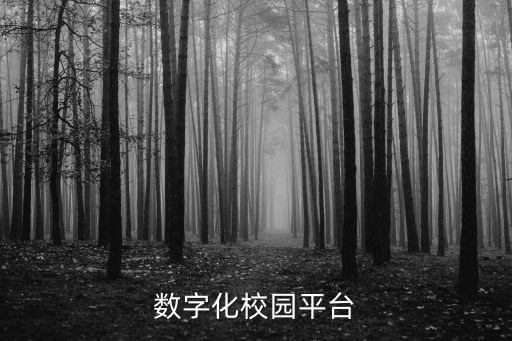數(shù)字化校園平臺(tái)
