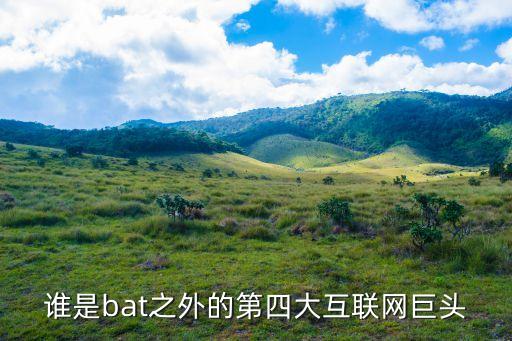 誰(shuí)是bat之外的第四大互聯(lián)網(wǎng)巨頭