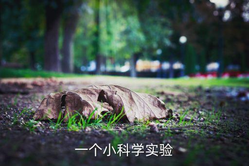 一年級科學(xué)小實驗100個，科學(xué)小實驗
