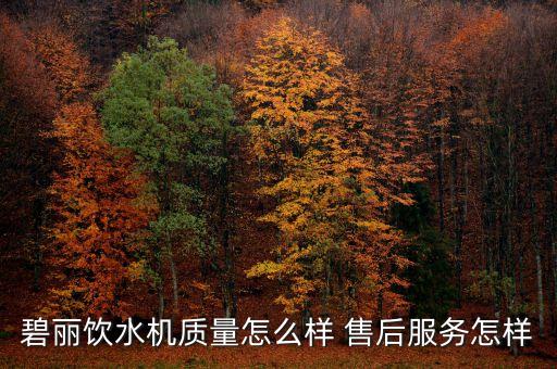 碧麗飲水機(jī)質(zhì)量怎么樣 售后服務(wù)怎樣