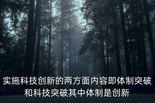 實(shí)施科技創(chuàng)新的兩方面內(nèi)容即體制突破和科技突破其中體制是創(chuàng)新