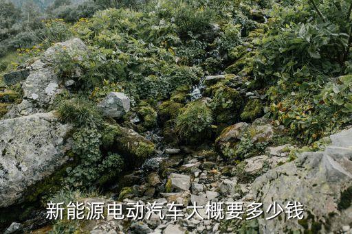 新能源電動汽車大概要多少錢