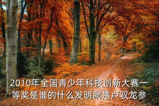 全國青少年科技創(chuàng)新大賽一等獎，全國青少年科技創(chuàng)新大賽全國一等獎加多少分