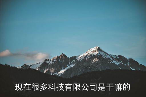 現(xiàn)在很多科技有限公司是干嘛的
