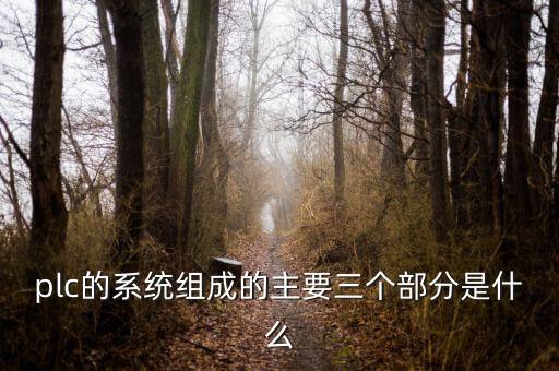 plc系統(tǒng)，請問plc系統(tǒng)是一種什么東西