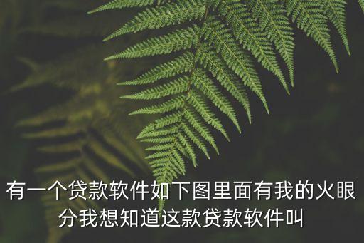 有一個貸款軟件如下圖里面有我的火眼分我想知道這款貸款軟件叫