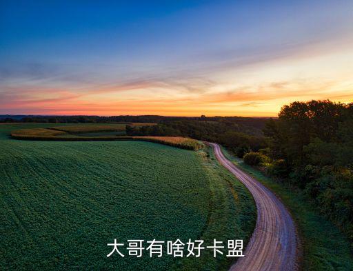 大哥大卡盟，卡盟排行榜wwwkmphbcn歡迎各位卡盟站長前往提交卡盟提
